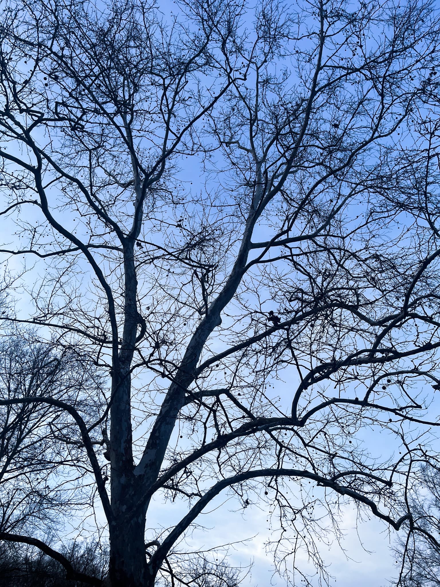 Nature and Landscapes photo 3