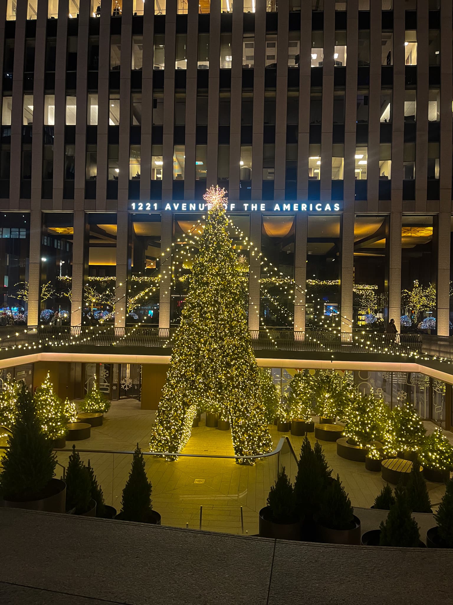 People and Celebrations photo 2